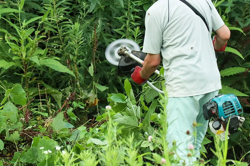 除草・草刈り