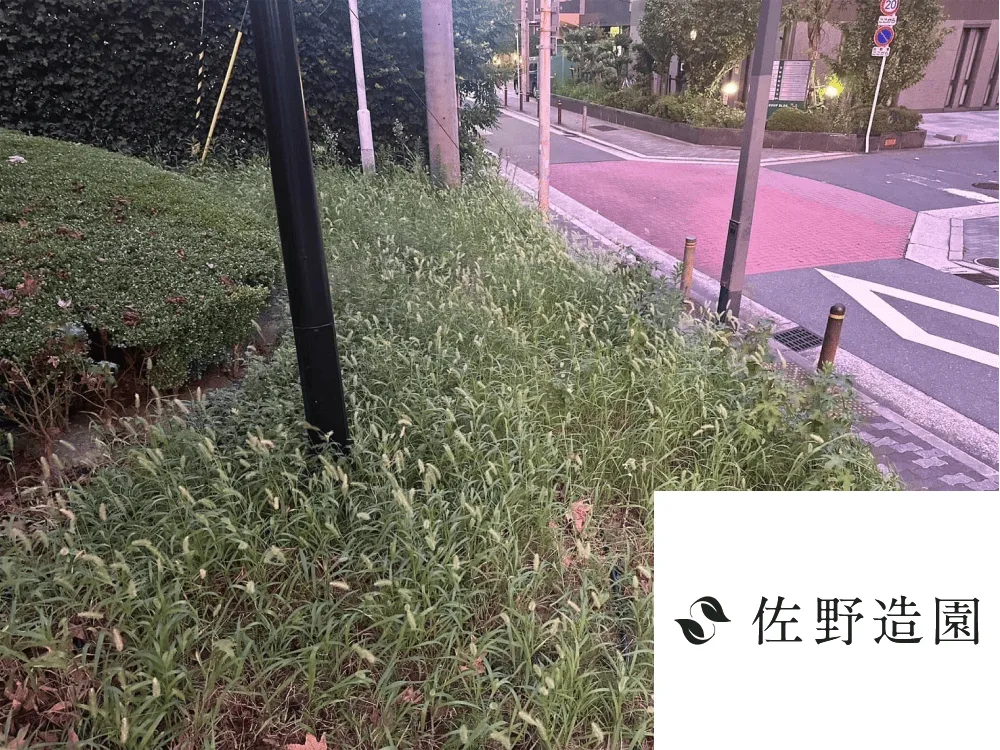 【大阪市】除草作業