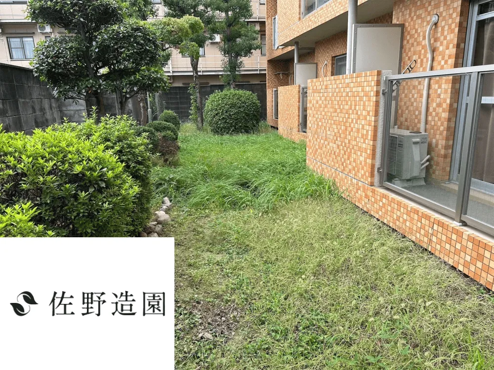 【神戸市東灘区】除草作業